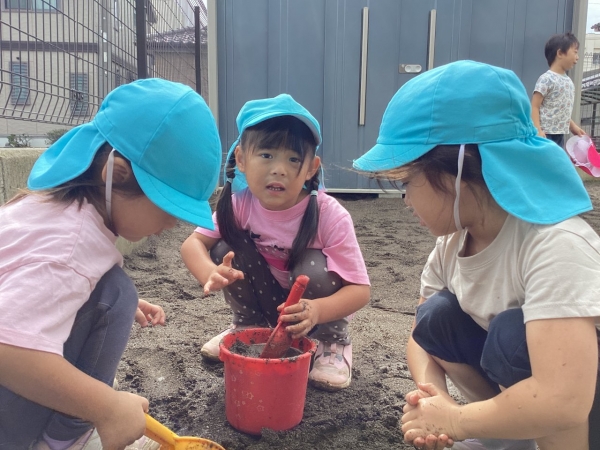2024-10-04 09.29.45_d8b93f19