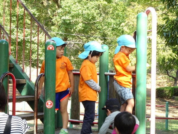 DSC02154