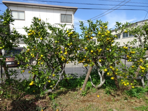 DSC02843