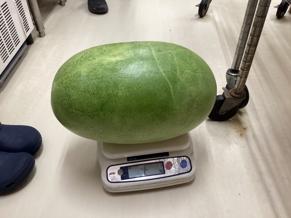 2025-08-25 09.56.22_a302d251