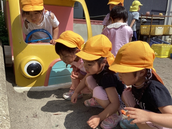 2026-05-07_09.25.48_e163a49f