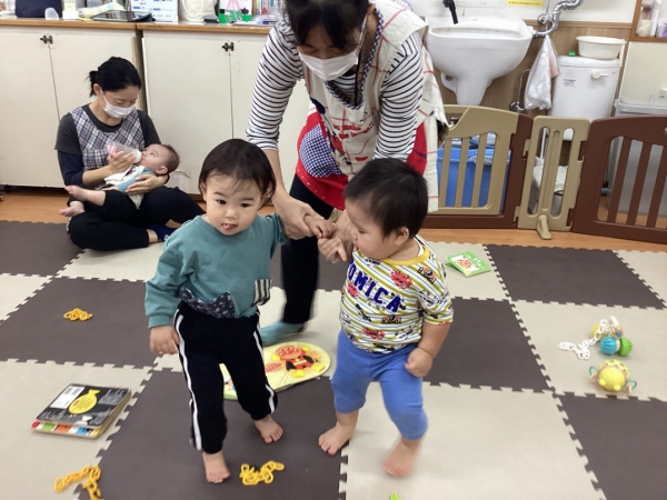 2026.10.27 たんぽぽ