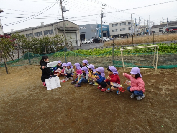 DSC08009