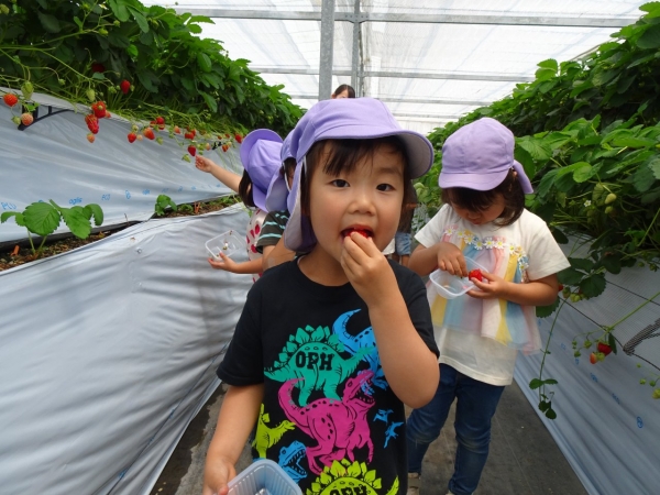 DSC04213