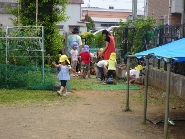 DSC05786