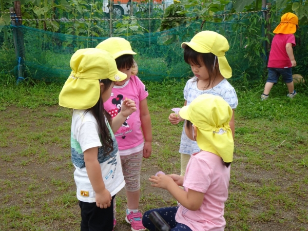 DSC07029