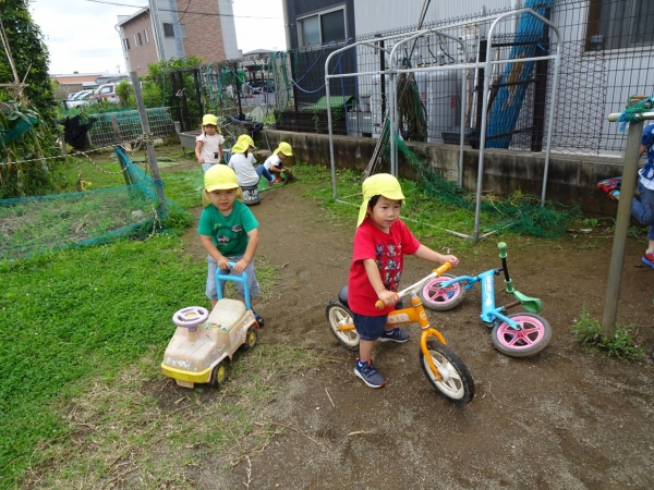 DSC07097
