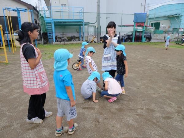 DSC07081