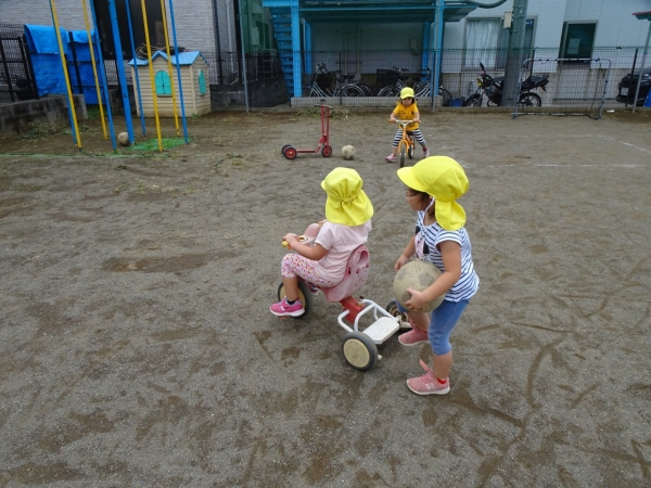 DSC00316