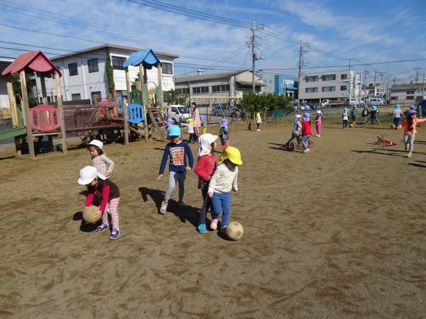 DSC02559