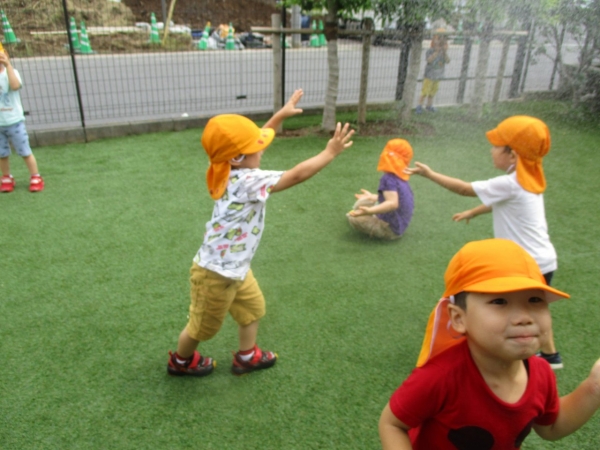 IMG_1130
