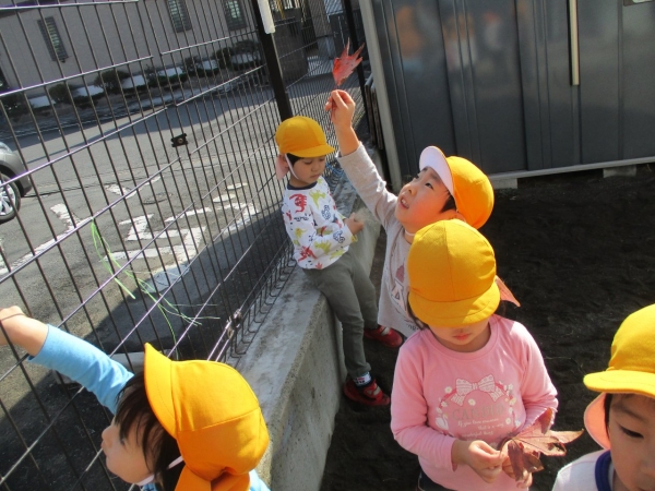 IMG_2830