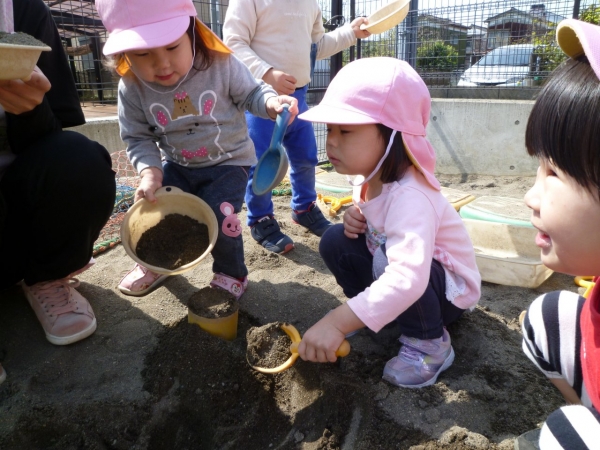 P1020010