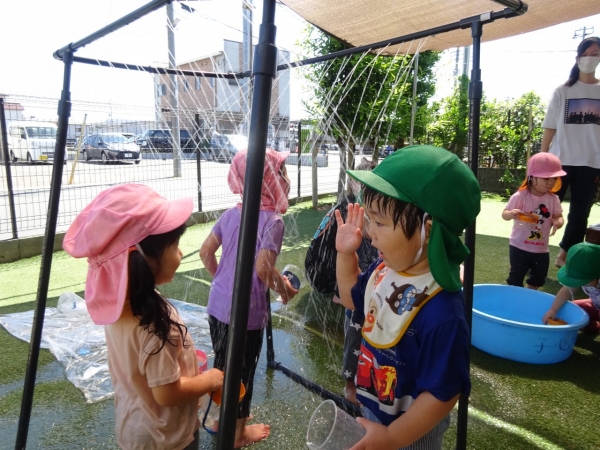 DSC01953
