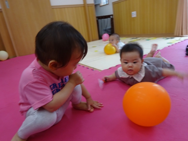 DSC01987