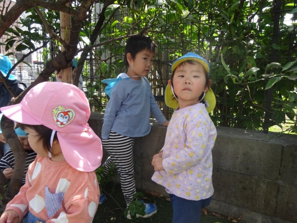 DSC03028