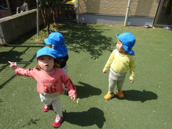 DSC03088
