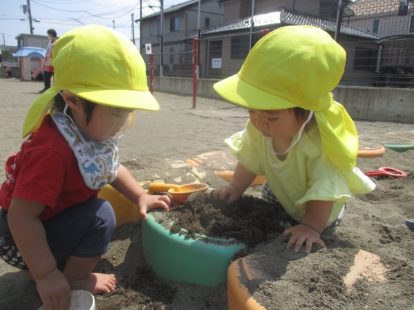 IMG_0602 (2)